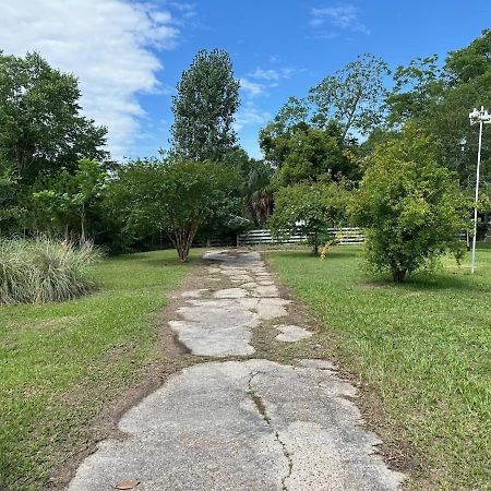 Bare Feet Bungalow -Close To Beach & Dog Friendly Gulfport Bagian luar foto
