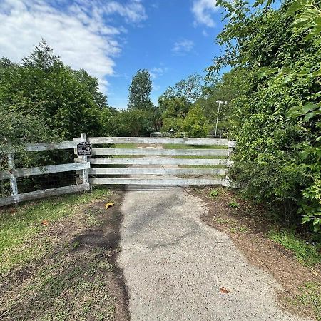 Bare Feet Bungalow -Close To Beach & Dog Friendly Gulfport Bagian luar foto